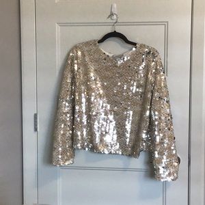 Zara sequin top